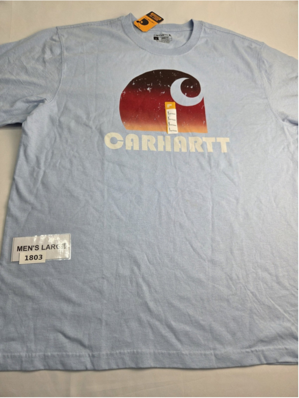 Carhartt Men’s Loose Fit Graphic T-Shirt Large Blue Spring 2024 NWT #1803